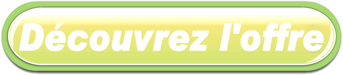 BOUTON LIVRAISON FLEURS A VILLENEUVE-SUR-LOT